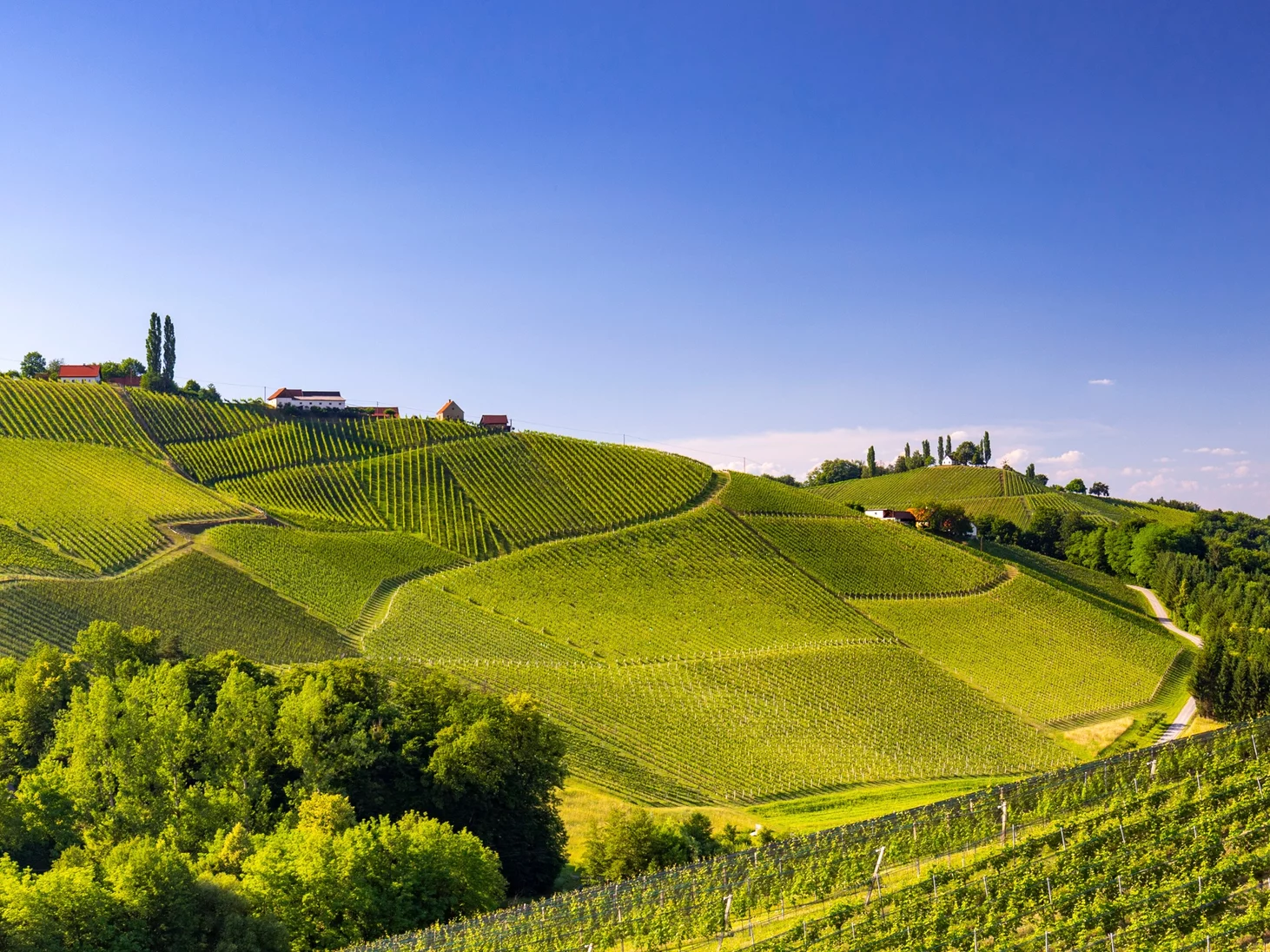 Suedstmk Blick Auf Die Sudsteirische Weinstrasse Bei Gamlitz 55810144@2x.d15021b9